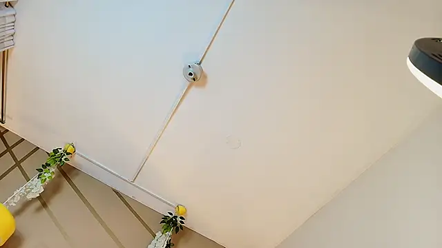 frreeya 现场XXX聊天