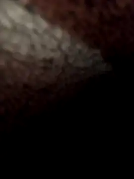 Ljijli Pertunjukan Webcam