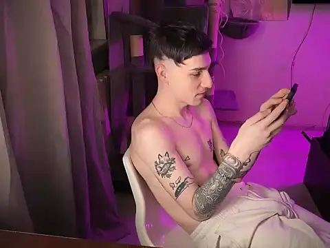 davesinnern Webbikameraesitys