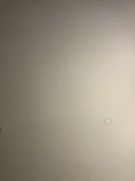 violetaurora95 Adlı Modelin Canlı XXX Sohbeti