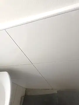 wadmma 网络视讯表演