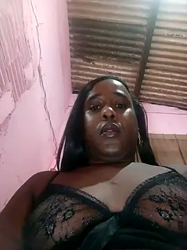 Hellentrans24 – Kamerová šou