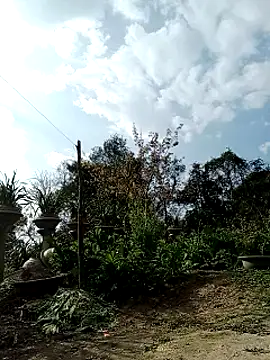 jienrrr Adlı Modelin Canlı XXX Sohbeti