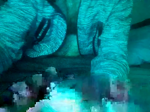 pedrocore89 – Kamerová šou