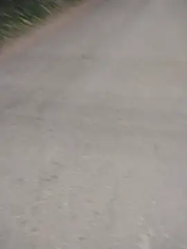 Juanstevan2724 现场XXX聊天