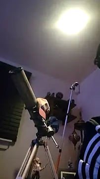 ROCCOTWINKn Webbikameraesitys