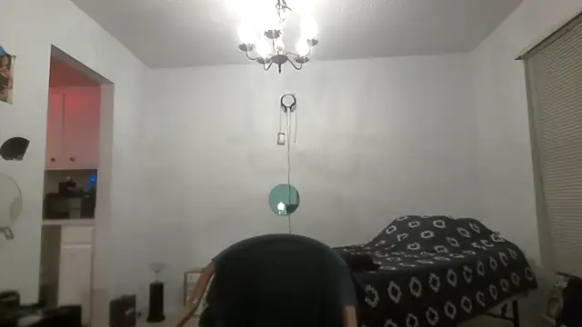 Peachestabby147のウェブカメラショー