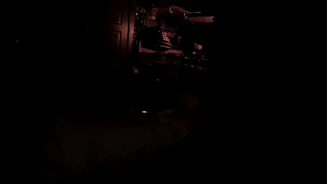 charactrzero Webcam Show