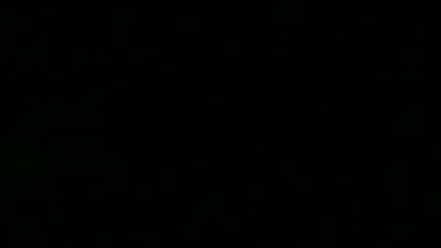 TheSexLegend: διαδικτυακό σόου στην κάμερα