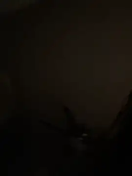 jaseyrae 现场XXX聊天