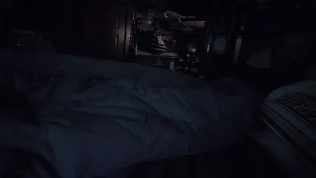 charactrzero Webcam Show