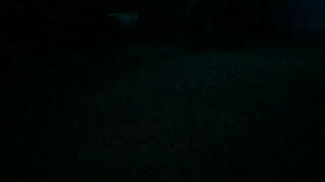 Babyboobabybye08 라이브 XXX 채팅