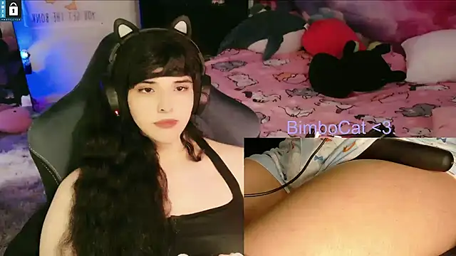 Show webcam de BimboCat