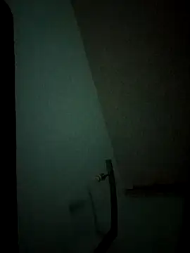 Show Webcam de bigbooietx