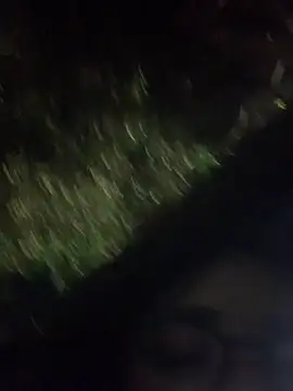 Dannii- Pertunjukan Webcam