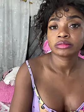 valenntinnan Webbikameraesitys