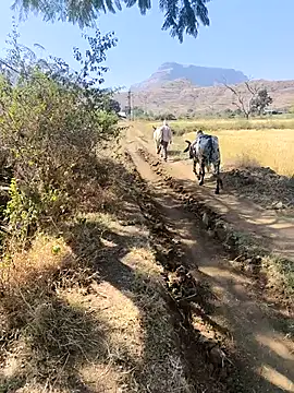 Wildlife_With_devil_89n Live XXX chat