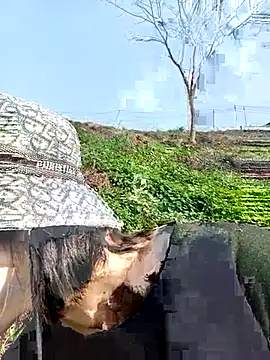 linda_bae00 即時 XXX 聊天