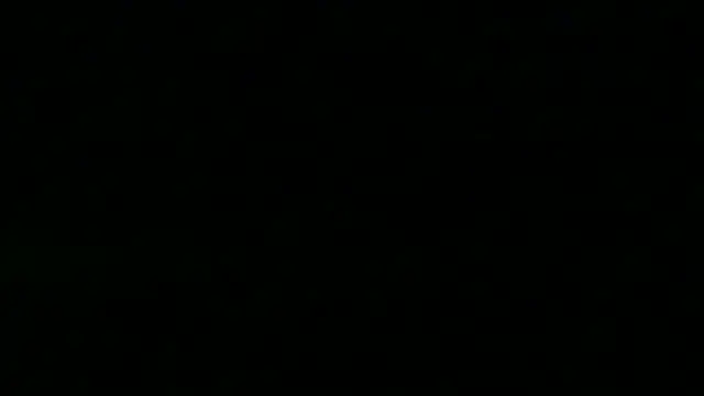 TheSexLegendのウェブカメラショー