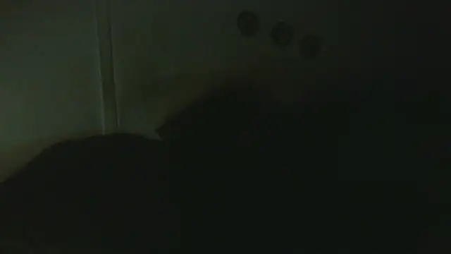 Pokazy przed kamerką – pbilip7787