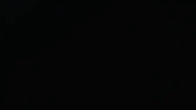 1BECHA1 élő XXX-chatje