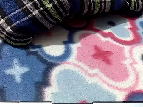 Chat XXX en directo de Precumboner