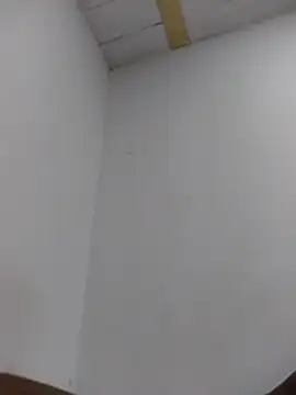 Monique_Mulberry2 现场XXX聊天