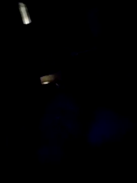 AceticPinscher Chat XXX live