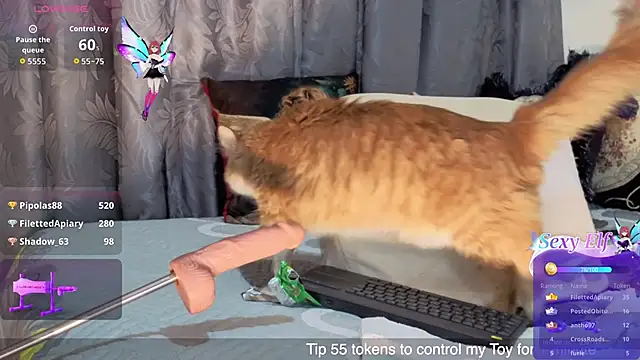 Chatroom XXX en direct de mariangellive