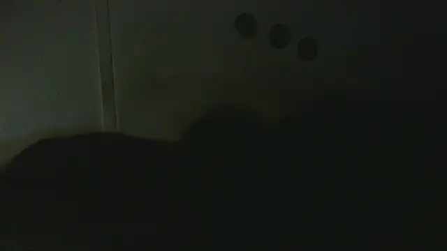 Show Webcam de pbilip7787