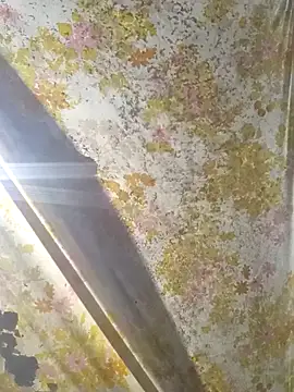 Cogelonregio élő XXX-chatje