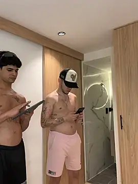 TheBatMansionn Webbikameraesitys