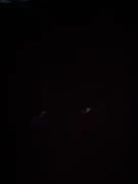 Geralllll 라이브 XXX 채팅