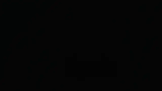 1BECHA1 라이브 XXX 채팅