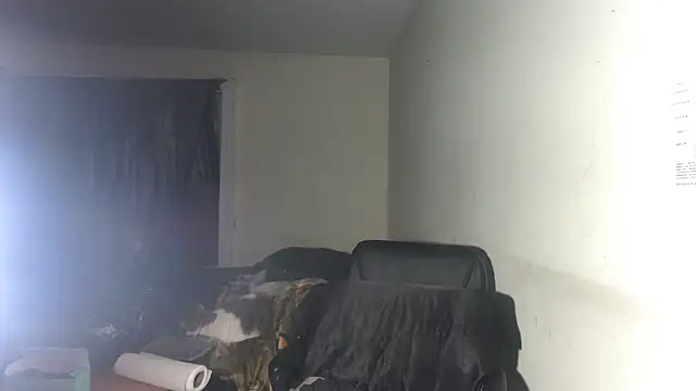 RickStone51 Live XXX-chat