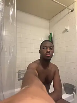 ThickDic28 Show in webcam