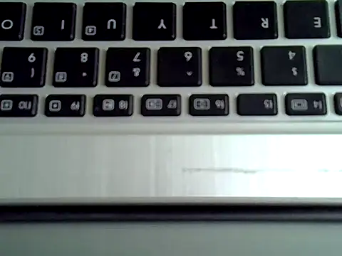 Delicious-D Webcam-Show