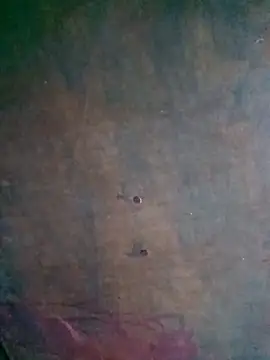 Deepjakolirr Webcamshow