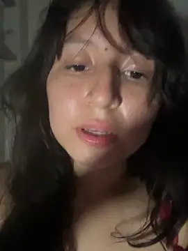 Noamilk's Webcam Show