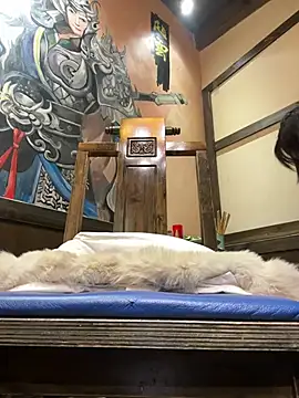 littleqiu 웹캠 쇼