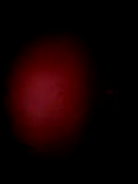 Berinjela20 Webcam show