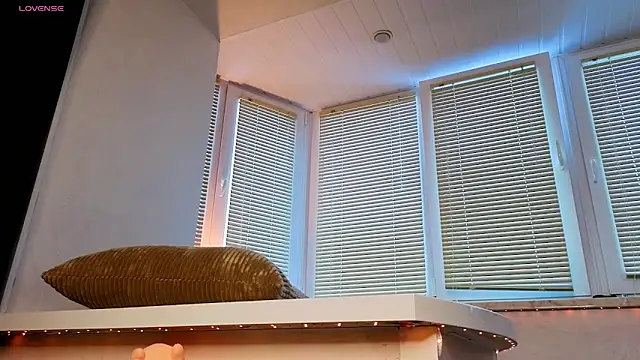 Show modela icesteam na web-kameri