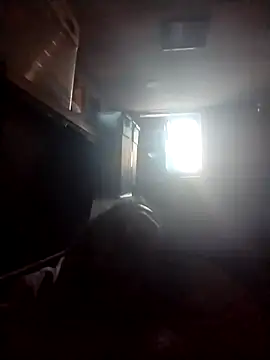 AceticPinscher's Webcam Show