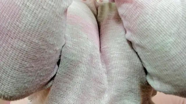 BrightDani: онлайн-секс-чат