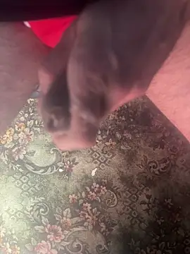 zozo971008 网络视讯表演