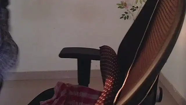 Chat XXX Live punemodel