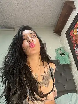 Show Webcam de SALOME_KORLAND