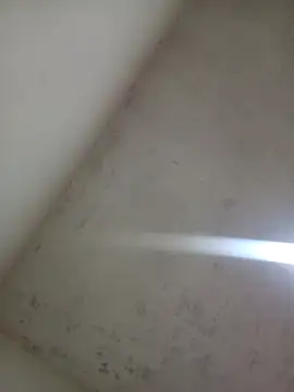 CoralSmit Live XXX Chat