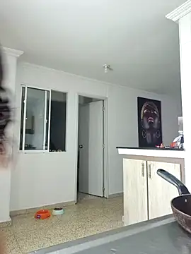 Show de karla-bruni na webcam