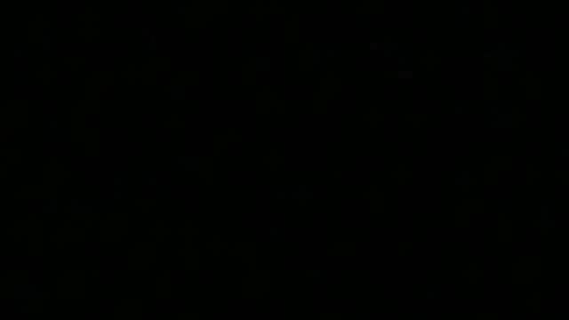 TheSexLegend Live XXX-chat